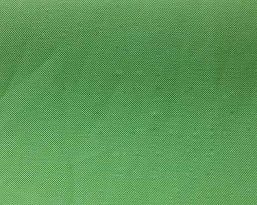雞爪槭